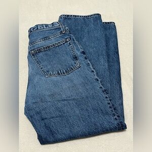 Everlane The Rigid High Rise Organic Cotton Jeans